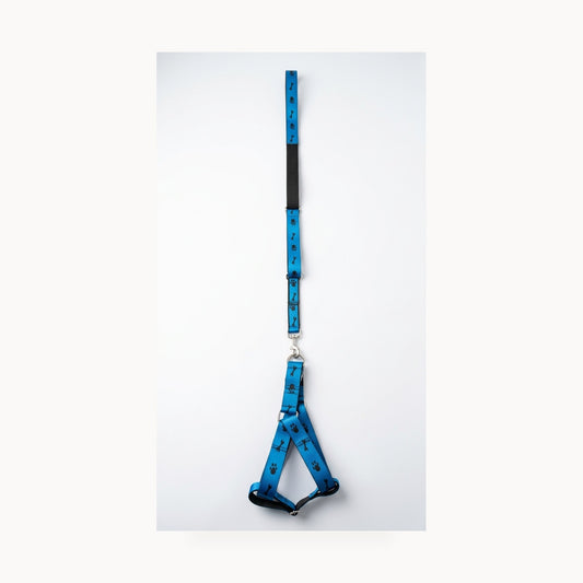 Adjustable Paw & Bone Print Dog Harness and Leash Set – standardized square product image