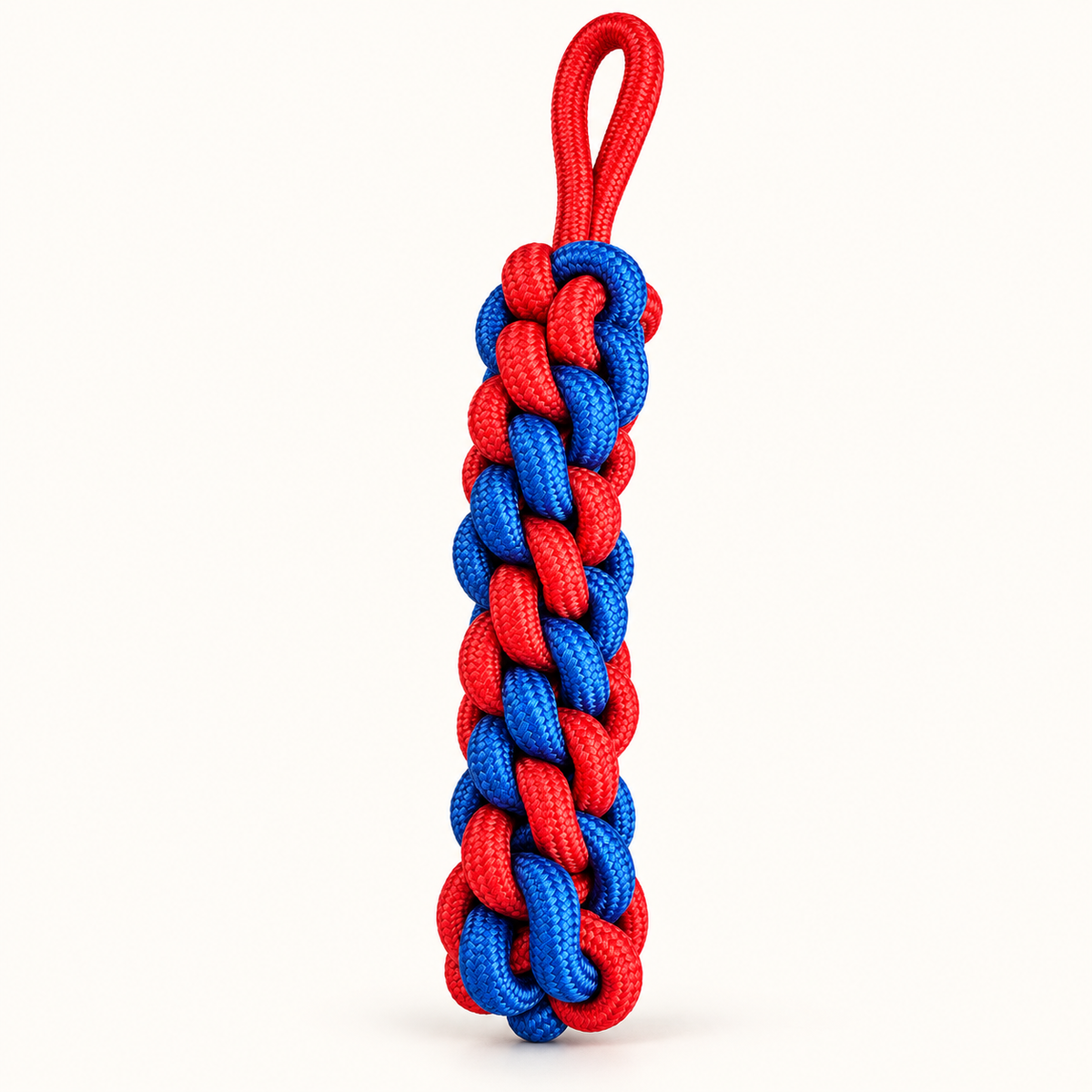 Red and blue braided rope dog chew and tug toy