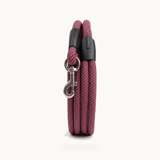 Heavy-Duty Climbing Rope Dog Leash – standardized square product image