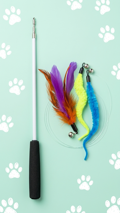 Retractable Cat Wand Toy with 3 Interchangeable Feather & Worm Attachments