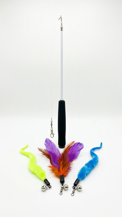 Retractable Cat Wand Toy with 3 Interchangeable Feather & Worm Attachments