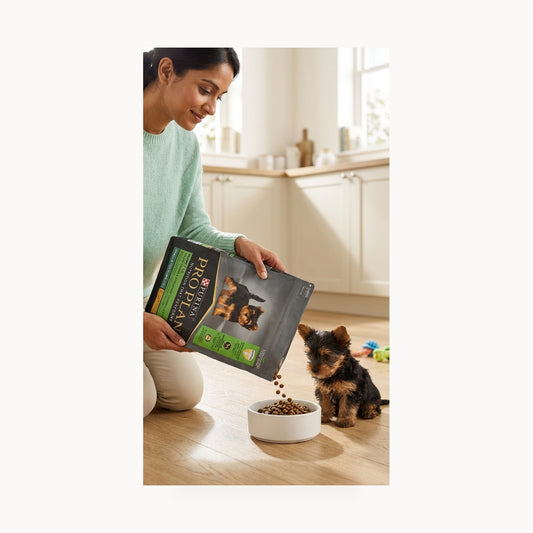 Purina Pro Plan Puppy Small & Toy Breed Chicken Dry Dog Food - 2.5kg – standardized square product image