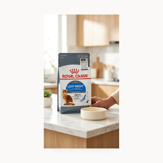 Royal Canin Light Weight Care Adult Dry Cat Food - 400g – standardized square product image