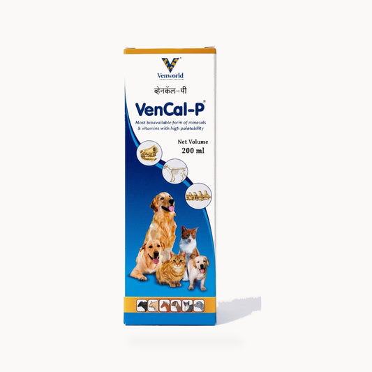 Venworld Vencal-P Calcium & Phosphorus Syrup - 200ml – standardized square product image
