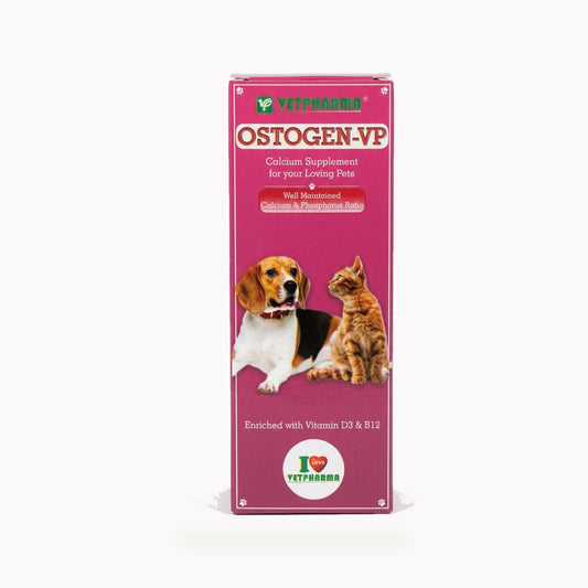 Vetpharma Ostogen-VP Calcium & Vitamin Supplement - 200ml – standardized square product image