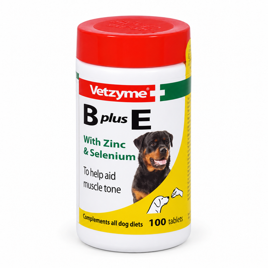 Vetzyme B plus E vitamins with zinc and selenium, 100-tablet bottle for dogs
